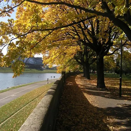 Airy And Sunny In The Centre Of